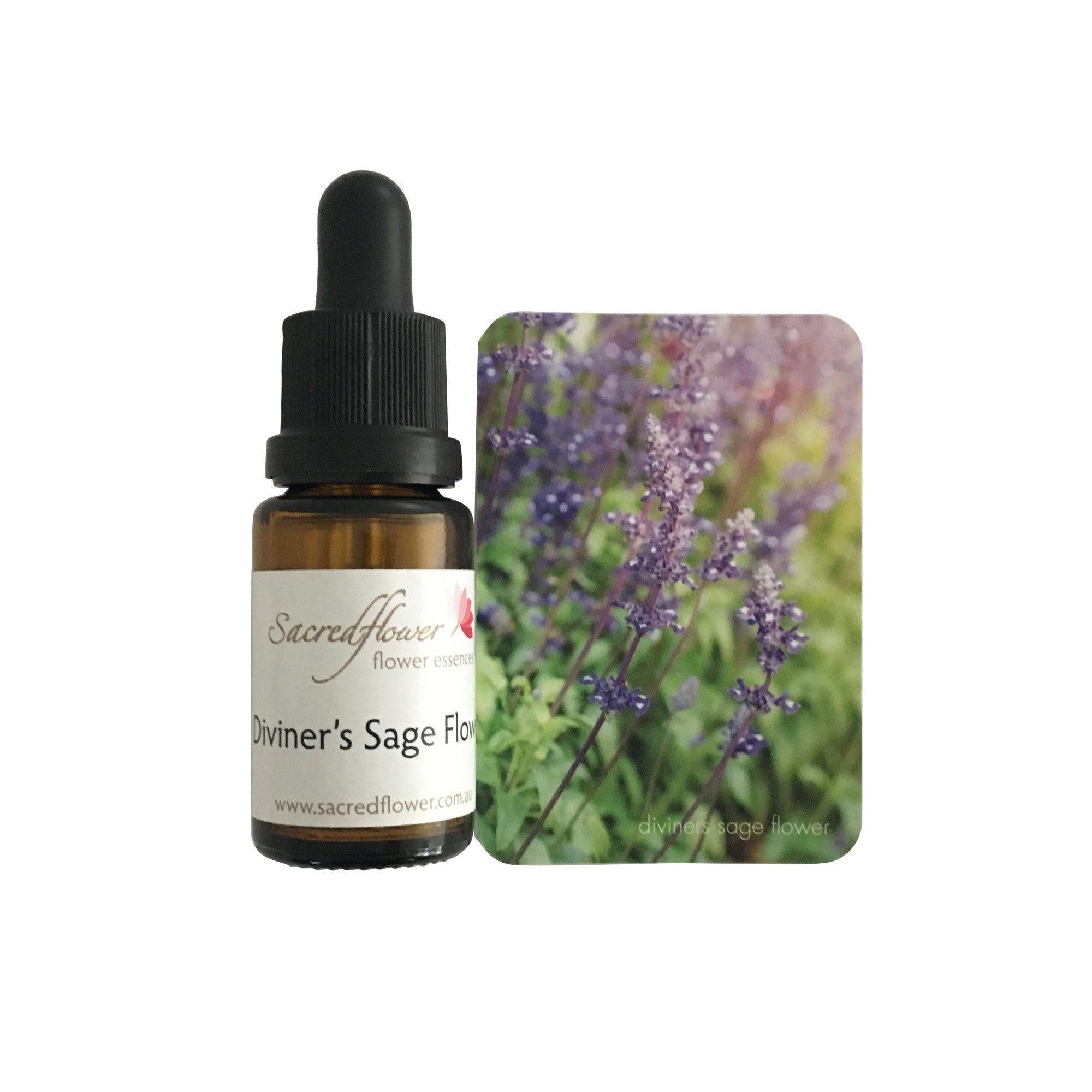 Diviners sage flower essence
