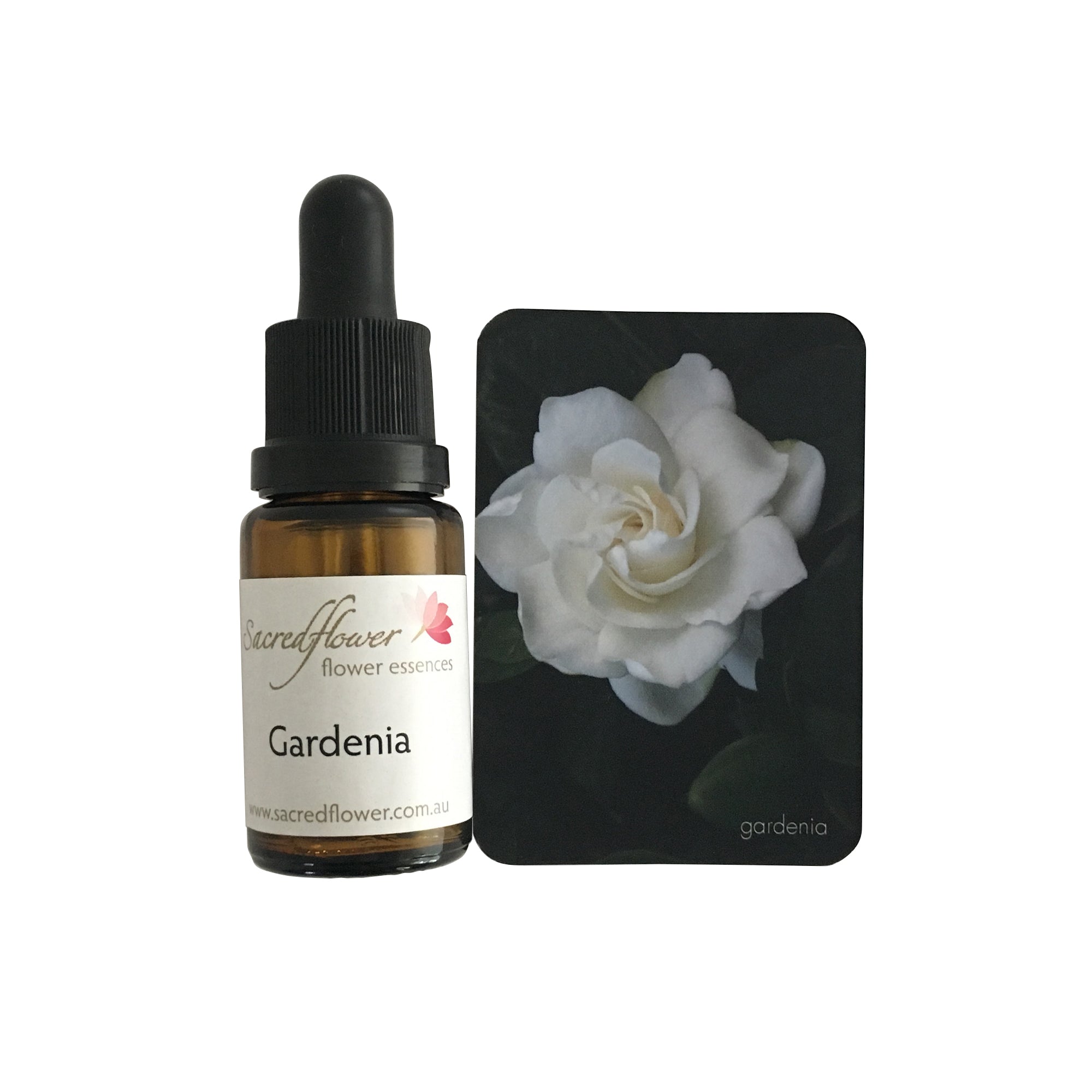 Gardenia flower essence
